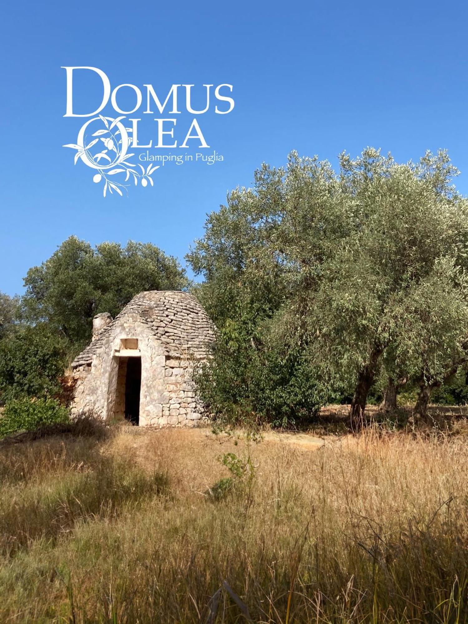 Domus Olea Glamping Hotel Kellie Messapica Kültér fotó